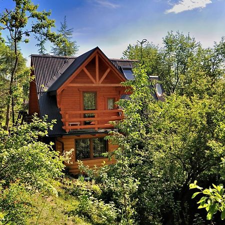 Domki Mroz Zakopane Exterior foto