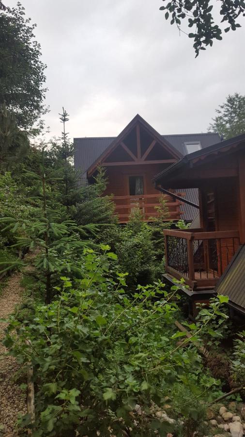 Domki Mroz Zakopane Exterior foto