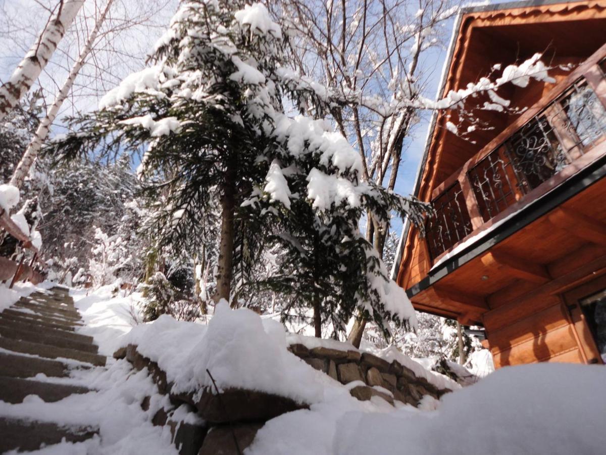 Domki Mroz Zakopane Exterior foto