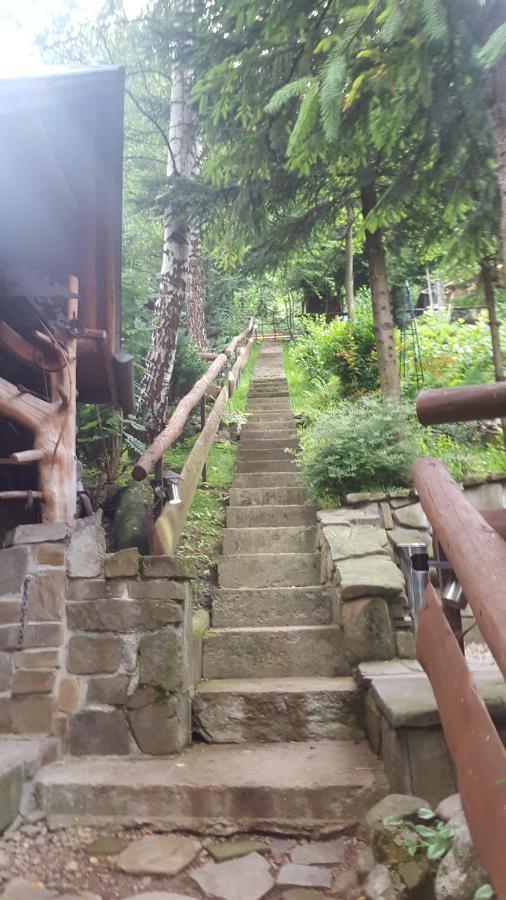 Domki Mroz Zakopane Exterior foto