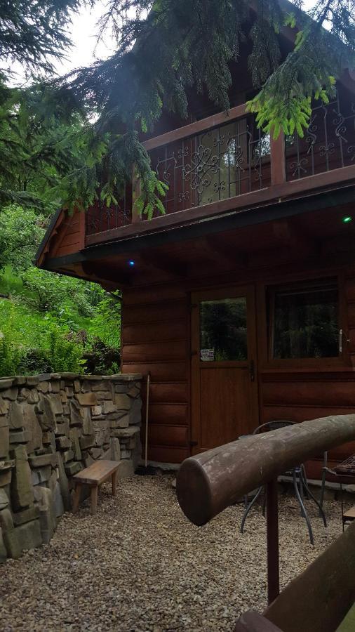 Domki Mroz Zakopane Exterior foto
