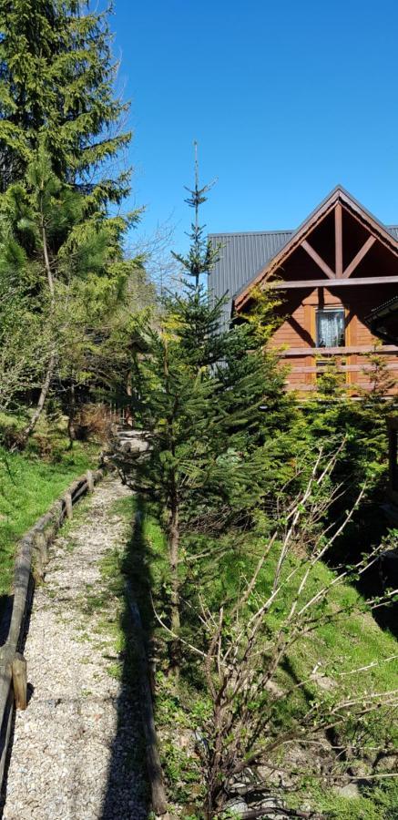 Domki Mroz Zakopane Exterior foto
