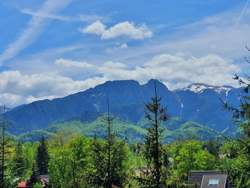 Domki Mroz Zakopane Exterior foto